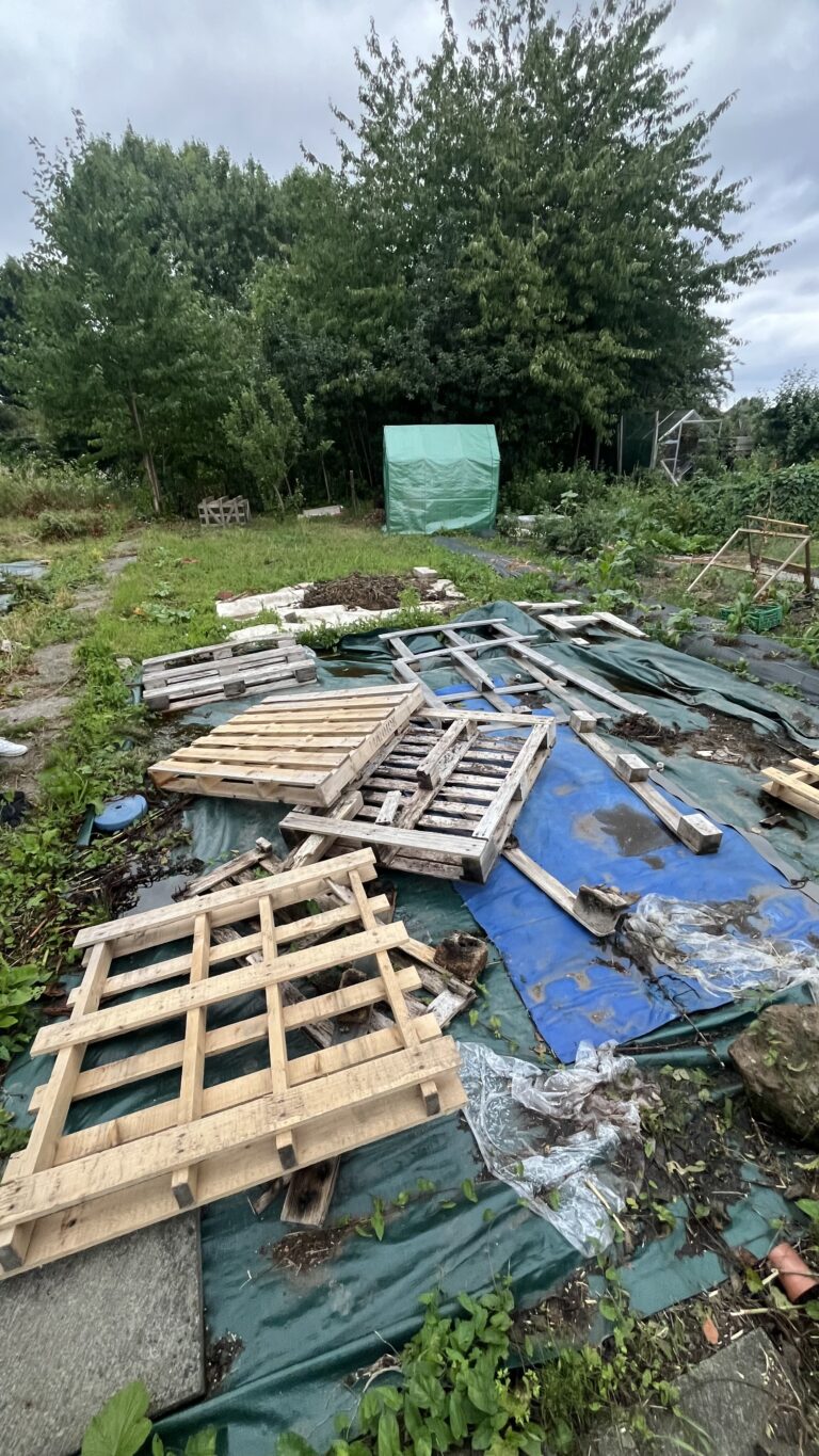 allotment assessment measuring plot with tape measure allotment assessment identifying weeds and overgrowth allotment assessment tarp method for clearing