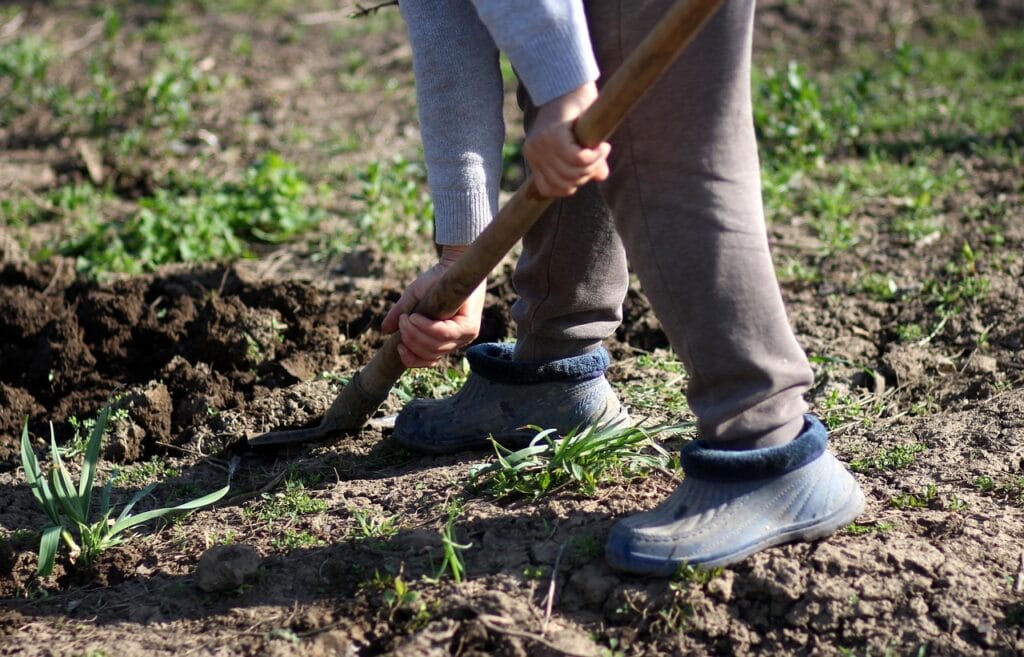 dig, spade, rural, nature, worker, garden