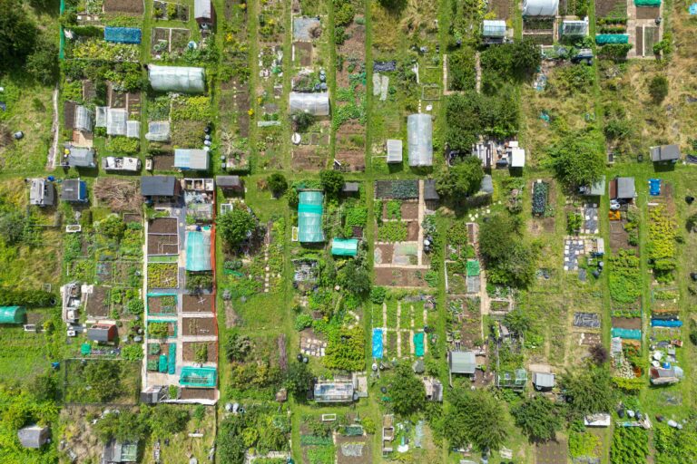 finding an allotment uk