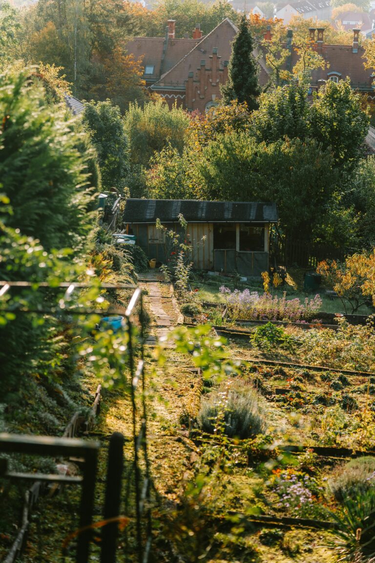 A serene garden scene in Pirna, Germany with historic architecture and sunset lighting.
